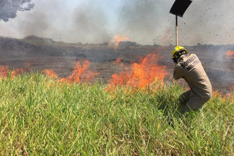 Em meio à seca, queima controlada é suspensa por conta da estiagem e riscos de incêndios no Acre