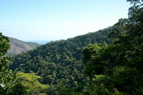 Economia circular: o que é e como ajuda no combate ao aquecimento global