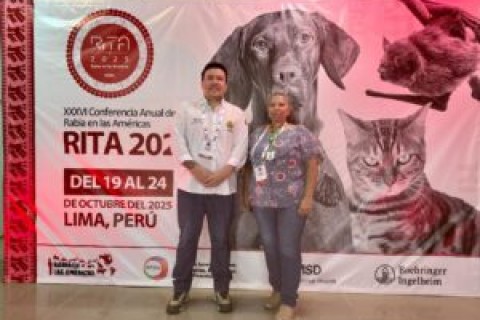 COOPERAÇÃO INTERNACIONAL