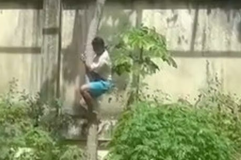 O que se sabe sobre o caso do homem que entrou na jaula de leoa, foi atacado e morreu em zoológico de João Pessoa